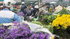 Khẩn cấp yêu cầu những người tới chợ hoa Mê Linh báo ngay cơ quan y tế