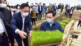 Bí thư Thành ủy Hà Nội Vương Đình Huệ kiểm tra lúa giống của bà con nông dân huyện Thạch Thất trước khi gieo cấy