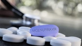 Đồng ý cấp đăng ký cho 3 thuốc chứa hoạt chất Molnupiravir sản xuất trong nước