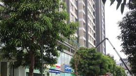 Liên tiếp 2 học sinh rơi từ tầng cao cùng một chung cư tại Hà Nội