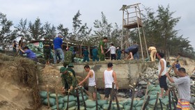 Nỗ lực khắc phục sạt lở do xâm thực gây ra tại khu vực bờ biển xã Phong Hải, huyện Phong Điền, tỉnh Thừa Thiên - Huế  