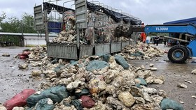Bãi chất thải rắn trái phép phát hiện trong khuôn viên Công ty TNHH Một thành viên cao su Huy Anh 