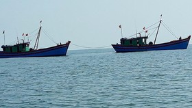 Hai tàu cá giã cào khai thác hải sản "tận diệt" trái phép ven bờ biển bị phát hiện, xử lý vào sáng 20-5