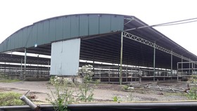 Nhiều khu vực chuồng trại của dự án chăn nuôi Bình Hà tại Hà Tĩnh bỏ trống từ lâu 