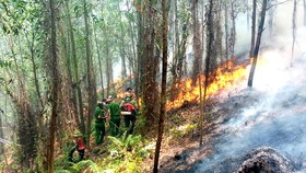 Lực lượng chức năng tham gia dập lửa trong vụ cháy rừng ở khu vực núi Nầm, giáp ranh giữa xã Sơn Châu và Sơn Thủy, huyện Hương Sơn, tỉnh Hà Tĩnh, ngày 8-7-2019