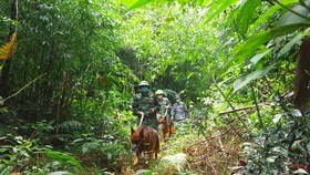 Bộ đội Biên phòng Hà Tĩnh tuần tra kiểm soát ngăn chặn tình trạng người dân vượt biên trái phép