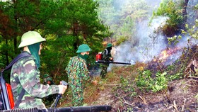 Lực lượng của Trung đoàn 841 nỗ lực dập lửa cứu rừng