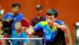 Nguyễn Anh Tú là kỳ vọng lớn của bóng bàn Việt Nam.
