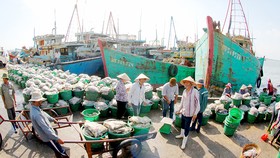 Cá đánh bắt từ biển cập bến cảng Long Hải tỉnh Bà Rịa - Vũng Tàu 	Ảnh: THÀNH TRÍ
