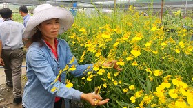 Chị Nguyễn Thị Hạ được hỗ trợ trong sản xuất đã vươn lên khấm khá