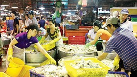 Khu vực chợ cá ở chợ đầu mối Bình Điền (quận 8) luôn tấp nập, nhộn nhịp                                                                                                          Ảnh: DIỄM MI