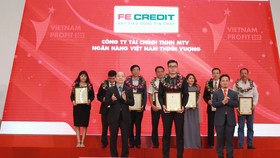 FE Credit xếp hạng 11 trong top 500 doanh nghiệp tư nhân lợi nhuận tốt nhất Việt Nam
