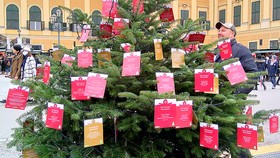 Cây ước nguyện cho trẻ em Làng SOS trong  chợ Giáng sinh tại cung điện Schonbrunn, Áo