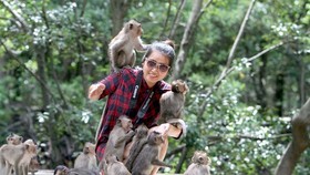  Đảo Khỉ thu hút du khách khi đến Cần Giờ 