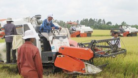 Nông dân ĐBSCL thu hoạch lúa đông xuân