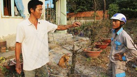 Anh Nguyễn Công Sơn (trái) nhiệt tình chia sẻ cách chăm sóc mai với người dân tới hỏi thăm