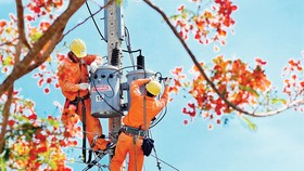 Kiểm tra bảo đảm vận hành an toàn hệ thống lưới điện để đảm bảo cấp điện ổn định trong dịp lễ 2-9