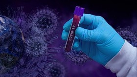 Hà Lan phát hiện đường dây cung cấp virus SARS-CoV-2