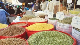 Pakistan triển khai chương trình trợ giá lương thực