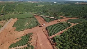Lâm Đồng: Phải cam kết bảo vệ môi trường khi san gạt để sản xuất nông nghiệp