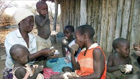 Nhiều nước châu Phi yêu cầu Nga giúp đỡ lương thực