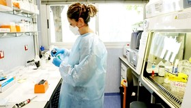 Các nhà khoa học đẩy mạnh bào chế vaccine  đậu mùa khỉ. Ảnh: THE NEWS