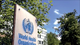 WHO hỗ trợ TPHCM về chăm sóc bệnh không lây nhiễm