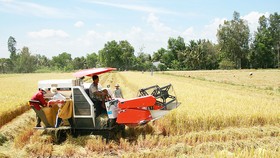 Phát huy nguồn lực đấi đai để khai thác giá trị sử dụng đất. Trong ảnh: Nông dân ĐBSCL thu hoạch lúa. Ảnh: HÀM LUÔNG