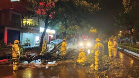 Phòng cảnh sát giao thông (Công an TP Đà Nẵng)  thu dọn cây ngã đổ do gió bão đêm 27-9. Ảnh: XUÂN QUỲNH