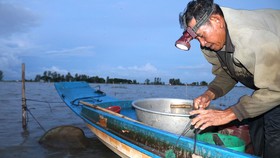 Nhiều nông dân vùng biên giới  huyện An Phú, tỉnh An Giang thu nhập 1 triệu đồng/ngày nhờ đánh bắt cá linh