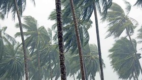 Áp thấp nhiệt đới có khả năng mạnh lên thành bão 