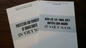 Việt Nam đạt được những tiến bộ rất quan trọng trong việc thúc đẩy quyền con người