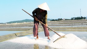 Diêm dân Sa Huỳnh trên đồng muối truyền thống