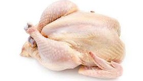 Cẩn trọng với chất lượng gà mái đẻ không rõ nguồn gốc 
