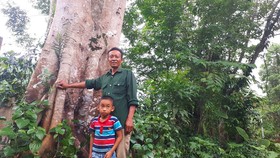 Ông Lê Văn Hòe và cháu nội tại một cây cổ thụ ở vùng rừng biên giới xã Phú Gia