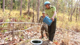 Bồn chứa nước chôn sẵn trong rừng để sẵn sàng chống cháy rừng