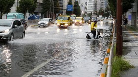 Siêu bão Faxai đổ bộ Nhật Bản, giao thông nhiều nơi tê liệt