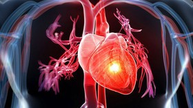 Phòng tránh các bệnh tim mạch chuyển hóa