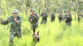 Cán bộ, chiến sĩ đơn vị Cụm cơ động chó nghiệp vụ 3  huấn luyện cảnh khuyển mật phục bắt tội phạm ma túy 
