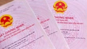 Bà Rịa - Vũng Tàu: Phát hiện nhiều giấy chứng nhận quyền sử dụng đất giả