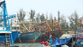 Tàu vỏ thép của ông Lê Tuyên (Quảng Nam) nằm bờ cả năm nay, bị gỉ sét. Ảnh: NGỌC PHÚC