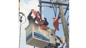Nhân viên Tổng công ty Điện lực TPHCM đang sửa chữa  trên đường dây đang mang điện