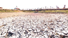 Tây Nguyên - Nam Trung bộ ứng phó nguy cơ sa mạc hóa - Bài 1: Suy kiệt nguồn nước
