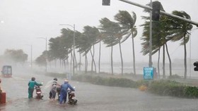 Dự báo: 22 giờ ngày 11-9, tâm bão số 5 ngay trên vùng biển từ Quảng Trị đến Quảng Ngãi