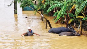 Ứng phó nguy cơ mưa lũ lớn ở miền Trung