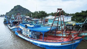 Kiên Giang: Tập trung chống khai thác hải sản bất hợp pháp