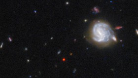 Kính viễn vọng không gian Hubble cho thấy GNz7q  là chấm đỏ. Ảnh : NASA