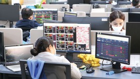 Thị trường chứng khoán lao dốc tuần qua khiến các nhà đầu tư đau đầu. Ảnh: HOÀNG HÙNG