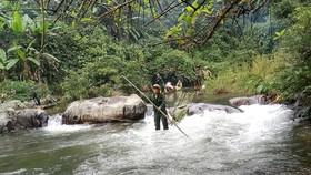 “Biệt đội” giải cứu thú rừng