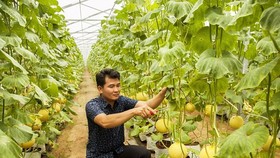Hình thành vùng sản xuất nông nghiệp hữu cơ